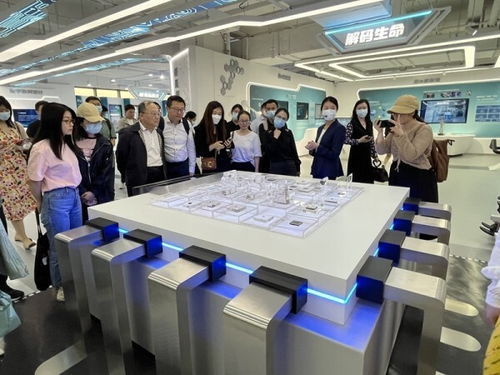 數(shù)字化成就點(diǎn)亮創(chuàng)新之路 上海市網(wǎng)絡(luò)文化協(xié)會參觀上海城市數(shù)字化轉(zhuǎn)型體驗(yàn)館